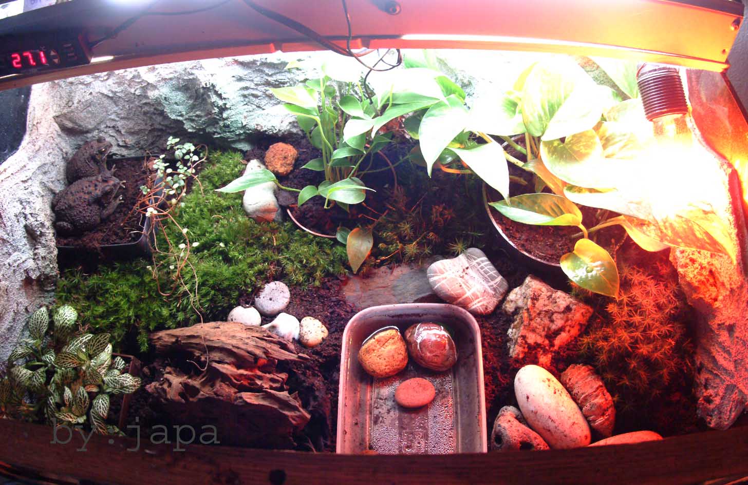 DSCF1785 copy.jpg
